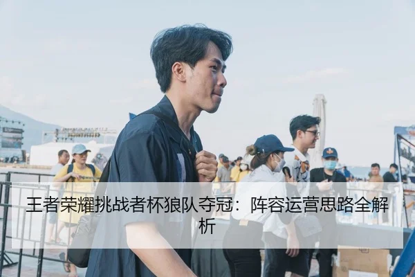 王者荣耀挑战者杯狼队夺冠：阵容运营思路全解析