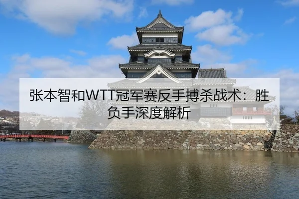 张本智和WTT冠军赛反手搏杀战术：胜负手深度解析