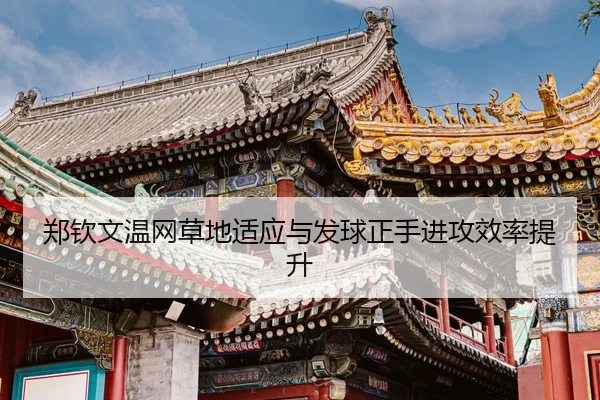 zheng-qin-wen-wen-wang-cao-di-shi-ying-yu-fa-qiu-zheng-shou-jin-gong-xiao-lv-ti-sheng-3-619.jpg