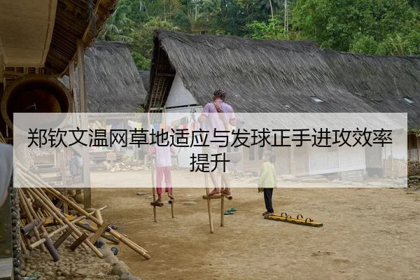 郑钦文温网草地适应与发球正手进攻效率提升