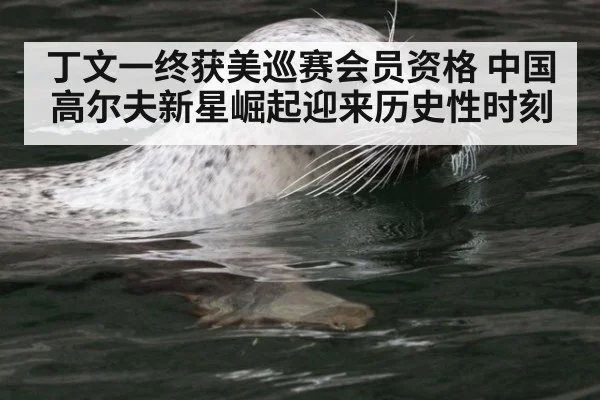 丁文一终获美巡赛会员资格 中国高尔夫新星崛起迎来历史性时刻