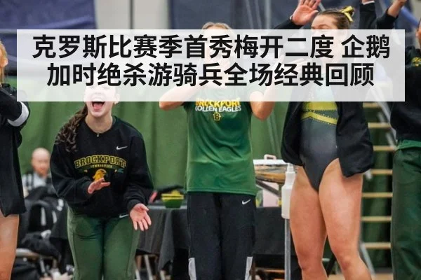 克罗斯比赛季首秀梅开二度 企鹅加时绝杀游骑兵全场经典回顾